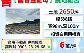 【觀音金雞母】合法雞舍大地坪好利用農地(投資自用兩相宜)