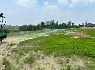 台南龍崎丙種建地自有道路