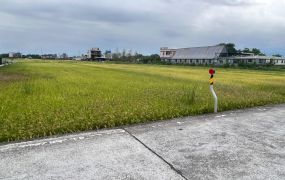 近191老農可配建足坪農地