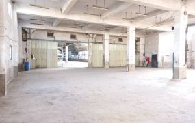 近66合法單層挑高RC分租廠房