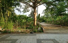 09-115軍輝橋小筆休閒地數筆