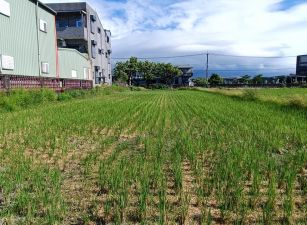 近宜蘭交流道雙面路農地