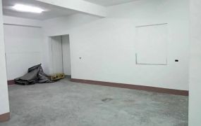 南崁百坪廠房B