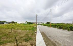 大社都內農地全新廠房