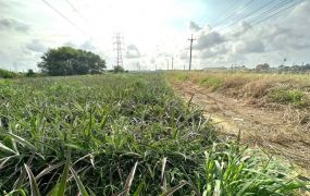 ㊣民雄省道旁美農地09-003 052337228