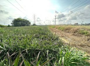 ㊣民雄省道旁美農地09-003 052337228