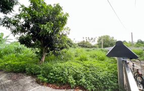 頂六旁小筆休閒地09-004 052337228