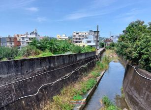 新竹縣芎林鄉近飛鳳山平坦田 899坪售價2589萬