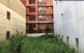中路稀有建地 0245302