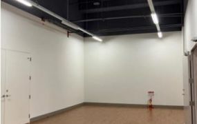 龜山A7站旁挑高碼頭廠辦出租30