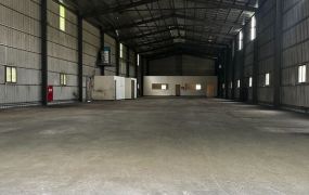 林口挑高方正鋼構廠房30