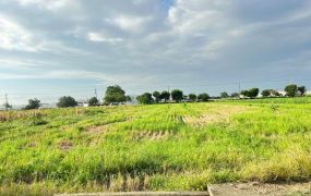 六腳農地前後路09-006 052337228