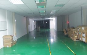 南崁RC使用坪數大廠房出租/南崁工業地廠房