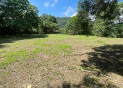 南投國姓...台14線旁超平坦農地+丙建