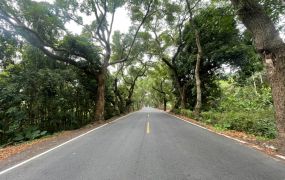 集集龍泉車站旁超方正丁種建地