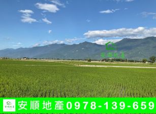 台東農地-池上農地