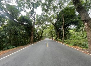 集集龍泉車站旁超方正丁種建地