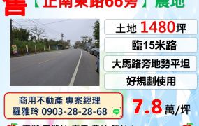 平鎮【正南東路66旁】大坪數大馬路旁好規劃農地