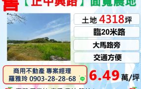 平鎮【正中興路】大面寬交通方便一般農+都內農地