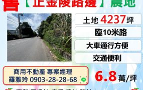 平鎮【正金陵路邊】雙面臨路0&6米路一般農地