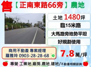 平鎮【正南東路66旁】大坪數大馬路旁好規劃農地