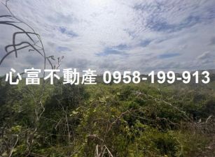 20米路!!麻豆1220坪工業地