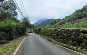 鳳凰鳥園高海拔大水堀段丙種建築用地台中買屋賣房,土地王劉志忠東龍國際開發集團東龍不動產大聯盟永春台中北屯捷運加盟店台中北屯捷運,捷運總站