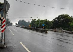 大樹臨路丙建農地