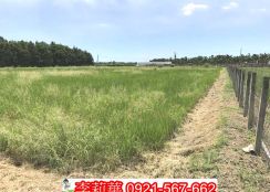 潮州後火車站大地坪農地