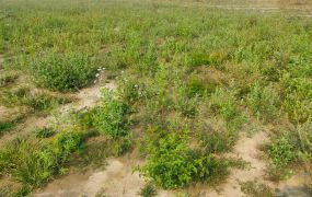 雲林縣轉運中心方正千坪土地可租可售