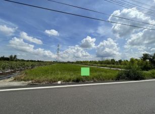 阿蓮雙面路農地