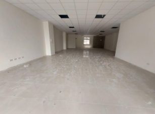 龍潭烏樹林工業區廠房46