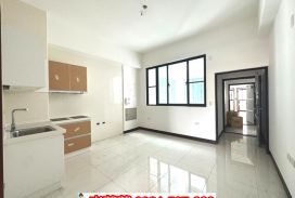 南應大全新未住兩房電寓2間可選