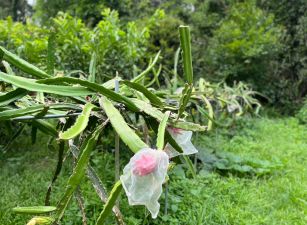 🚩北埔鄉村生活農地