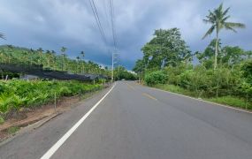 中埔灣潭大路邊農地06-001