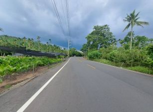 中埔灣潭大路邊農地06-001