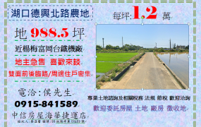 急售!!新竹縣湖口鄉德興北路便宜農地