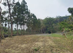 鹿谷廣興都計內興產段平坦有灌溉溝農地 台中買屋賣土地王劉志忠