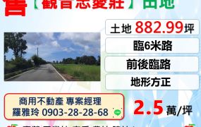 【觀音忠愛莊】前後臨路位置佳地形方正田地