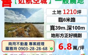 大園【近航空城】臨路6米未來發展性強一般農地