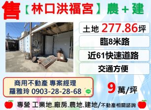 【林口洪福宮61旁】臨路8米低總價優質農＋建地