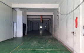 【蘆竹工業廠房出租】南崁台茂epoxy可廠登廠房