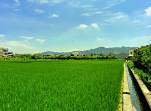 川盛土地 南投草屯／新興段／850坪／大面寬農地