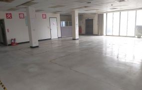 🍎中壢獨棟工業廠房 ( FT04914 )
