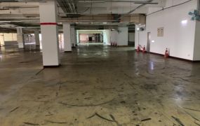 中壢工業區無塵室RC廠房43