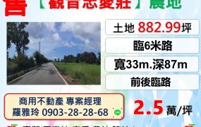 【觀音區忠愛莊】前後臨路位置佳地形方正田地