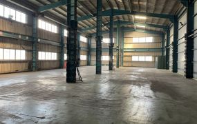 大園工業區(雙面臨路)挑高鋼構廠房•	大桃園廠房/工業地/建地/徵收農地/廠辦買賣出租