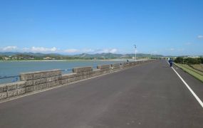 燕巢竹子腳免填土.路持農地