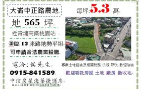 桃園市中壢大崙段中正路旁㊣12米路店面農地