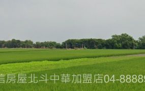 埤頭竹圍2.8分田